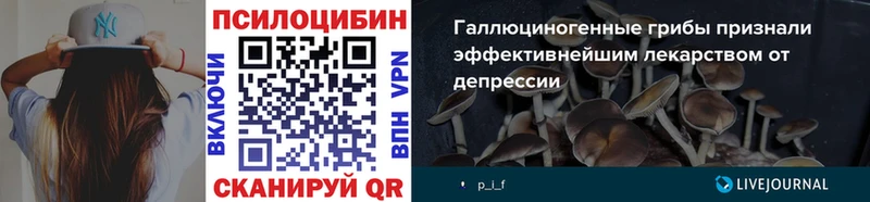 Галлюциногенные грибы Magic Shrooms  закладка  Лагань 